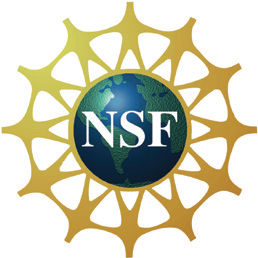 NSF Logo