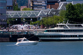 Scene from Portland, OR