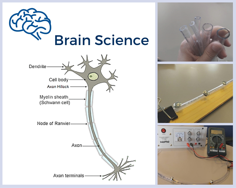Brain Science Cover