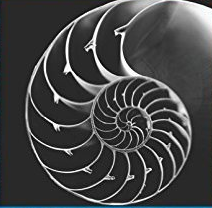Interactive Lecture Demonstrations Logo