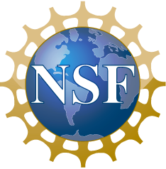 NSF logo