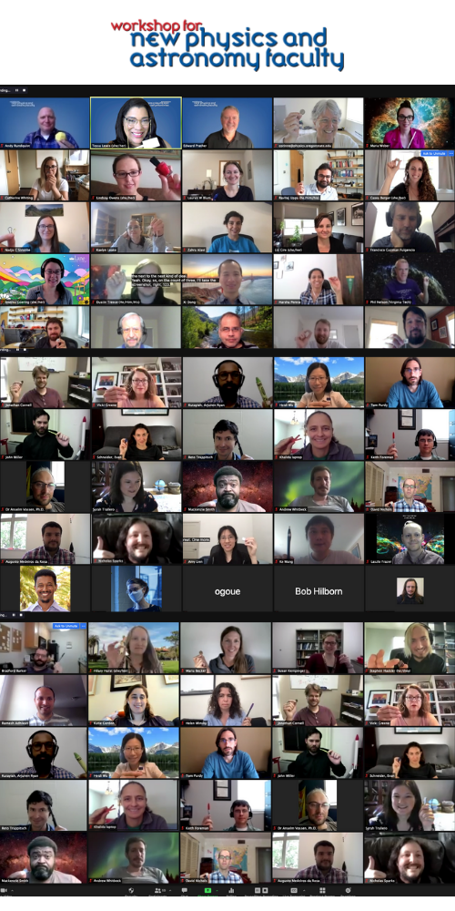 New Faculty Workshop June 2021 image