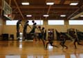 'Physics Behind Dunking' by Jeffrey Hong-Ming So