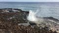 'Spouting Hole Blowhole' by Janis Chen