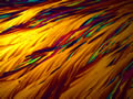 'Phoenix Feathers' by Chinye Evelyn Ijeli