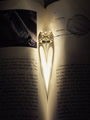 'For the love of light' by Taylor Daniele Cash