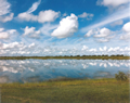 'Double the Everglades' by Coty Austin Kersten