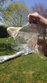 'Water Balloon Popped' by Taylor Lee Lacey