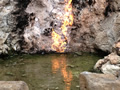 'Fire and Water Spring' by Margaret Lee
