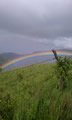 'Taste the Rainbow' by Lauren Margaret Kean