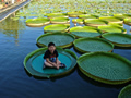 'Kid Sitting on a Leaf' by Wan Ting Chao