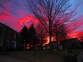 'Pink Sky' by Adrian Takashi Culp