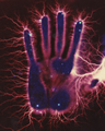 'Kirlian Photography' by Joe W. Rickwalder