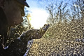 'snow burst' by YIJIA GUI