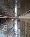 'Puddlegram' by Noam Aron Hacker
