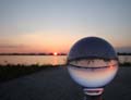 'Through the looking Bulb' by Dominique Desroches