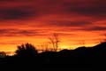 'Fiery Skies' by Brenna Emily Lumongsud