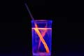 'Fluorescent Fun' by Seth Quasar Paternostro