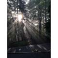 'Bright Friday Mornings' by Nicole Elisabeth Dersheid