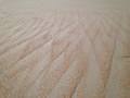 'Wave Patterns on a Florida Seashore' by Michael Christopher Joson