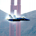 'Shrouded Flyer' by Peter Xinman Tang