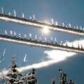 'Icicles From Down Under' by Paul Doell Manning