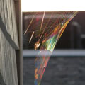 'The Web of Refraction' by Inkisar S Anwar