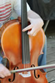 'Harmonic on the C String' by Katherine Anne Lee